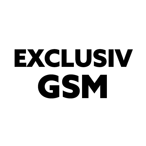 Logo Exclusiv GSM